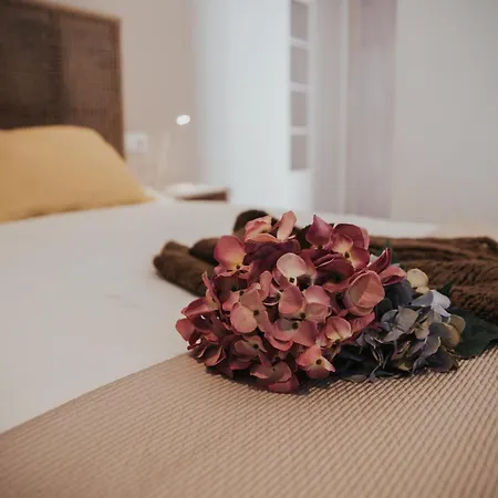 Casas San Miguel Holiday home Salem
